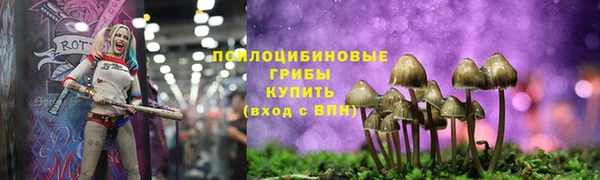 кристаллы Заводоуковск