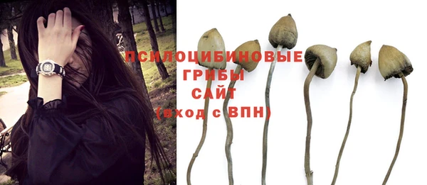 первитин Заволжск
