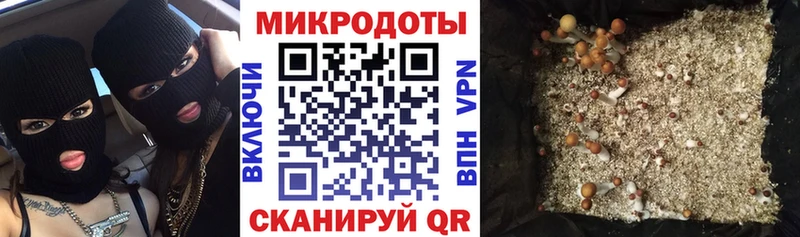 Галлюциногенные грибы мухоморы Холмск